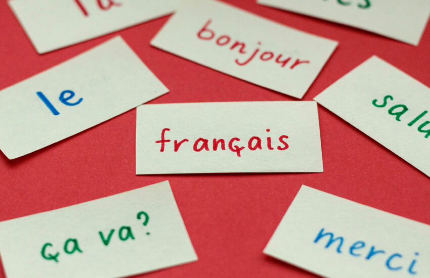 Готовимся к ЕГЭ: французский язык, математика