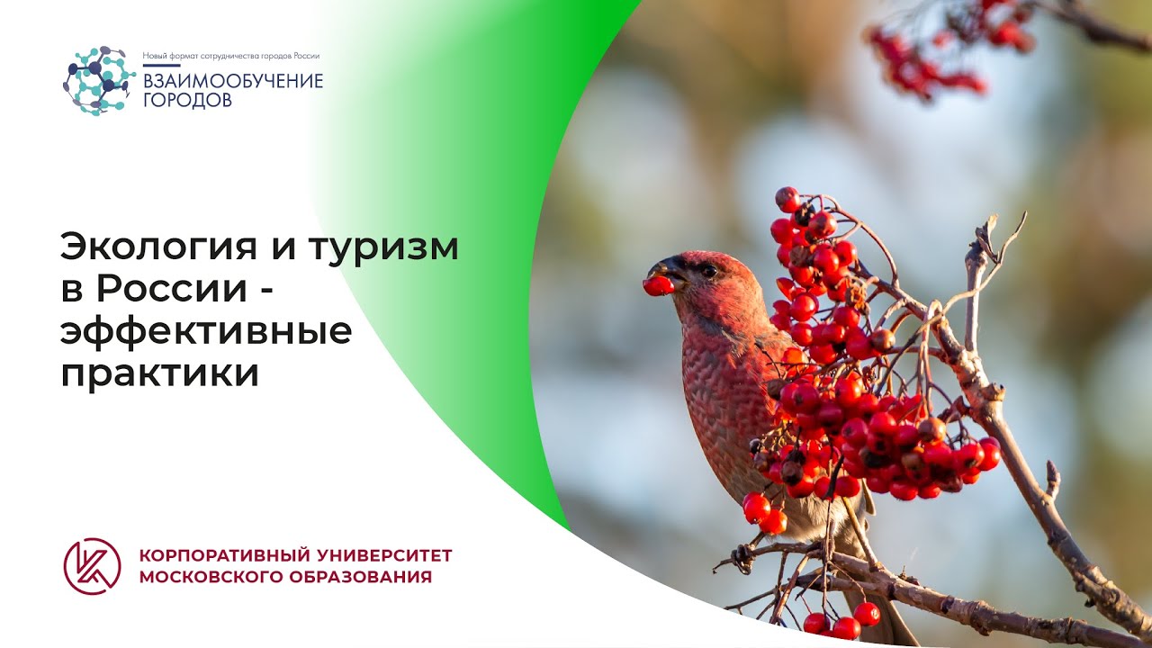 Экология и туризм в России — эффективные практики