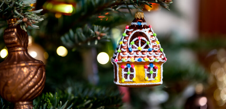 Что почитать, во что поиграть, чему удивиться: советы на праздники для всей семьи