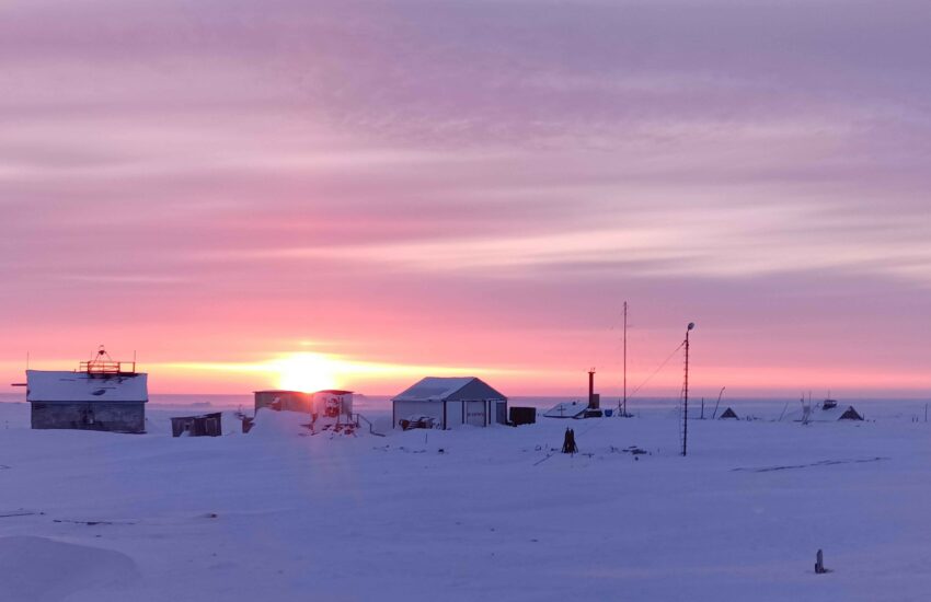 Умка, топленый снег и экологическая станция: как прошла Большая арктическая экспедиция — 2024