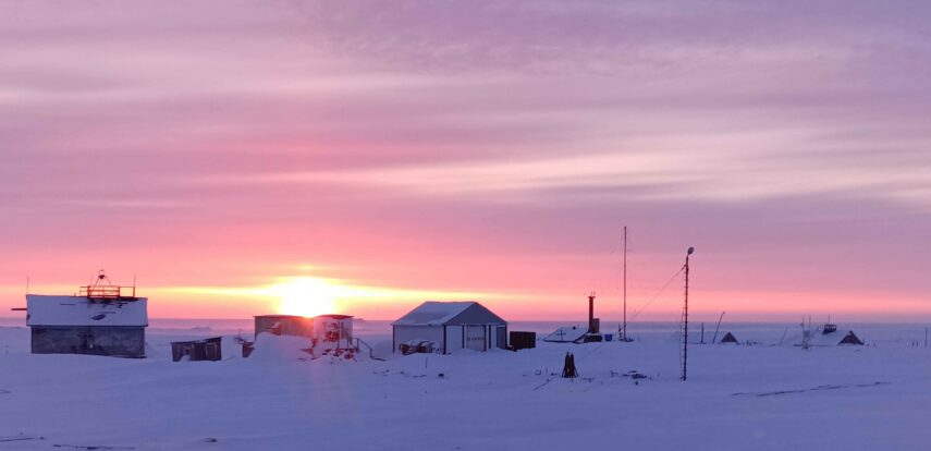 Умка, топленый снег и экологическая станция: как прошла Большая арктическая экспедиция — 2024