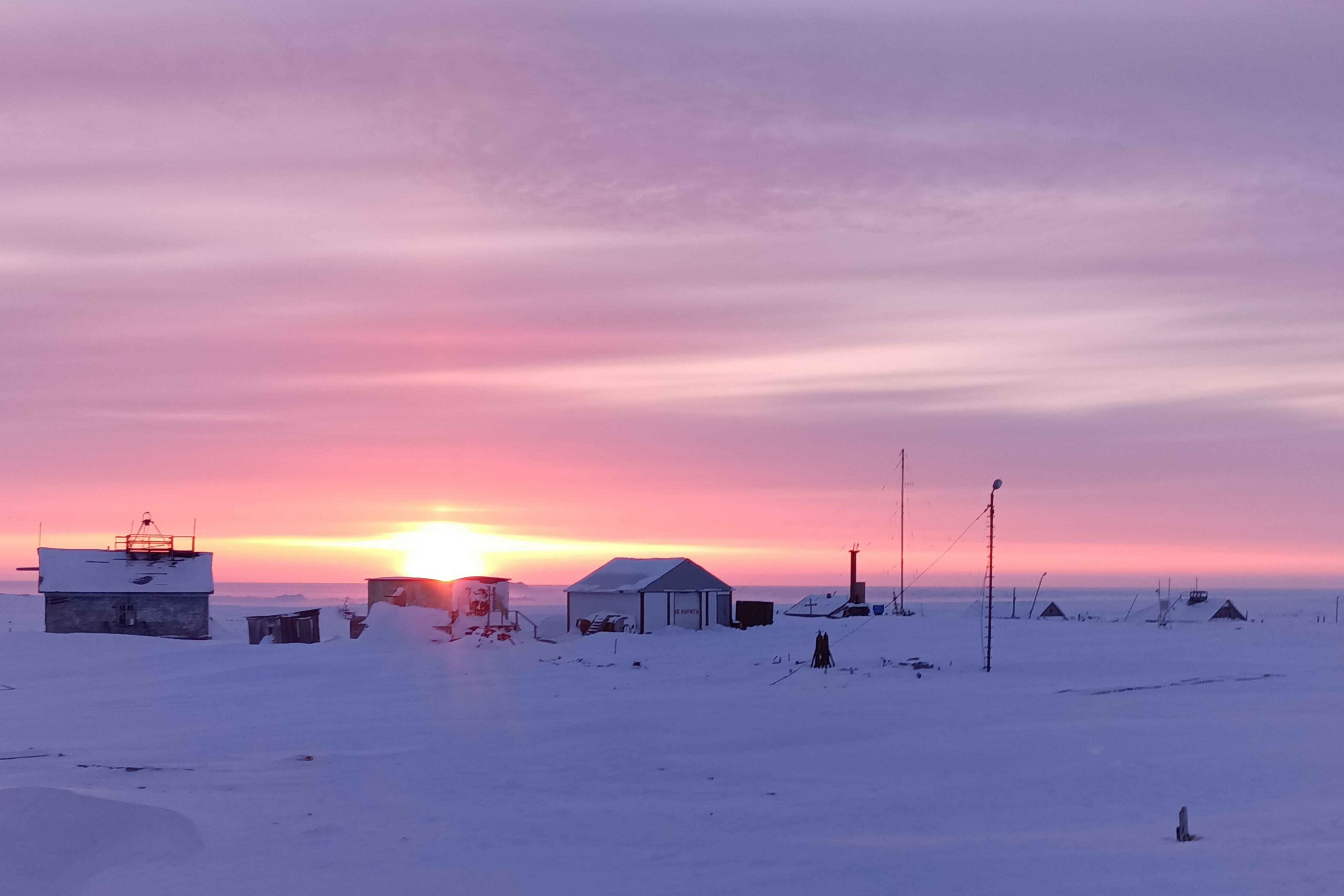 Умка, топленый снег и экологическая станция: как прошла Большая арктическая экспедиция — 2024