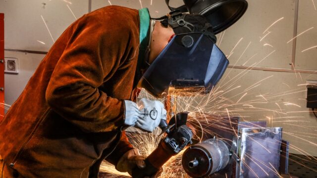 Стартовал региональный этап Всероссийского чемпионатного движения «Профессионалы»