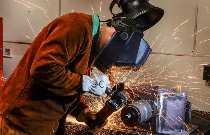 Стартовал региональный этап Всероссийского чемпионатного движения «Профессионалы»