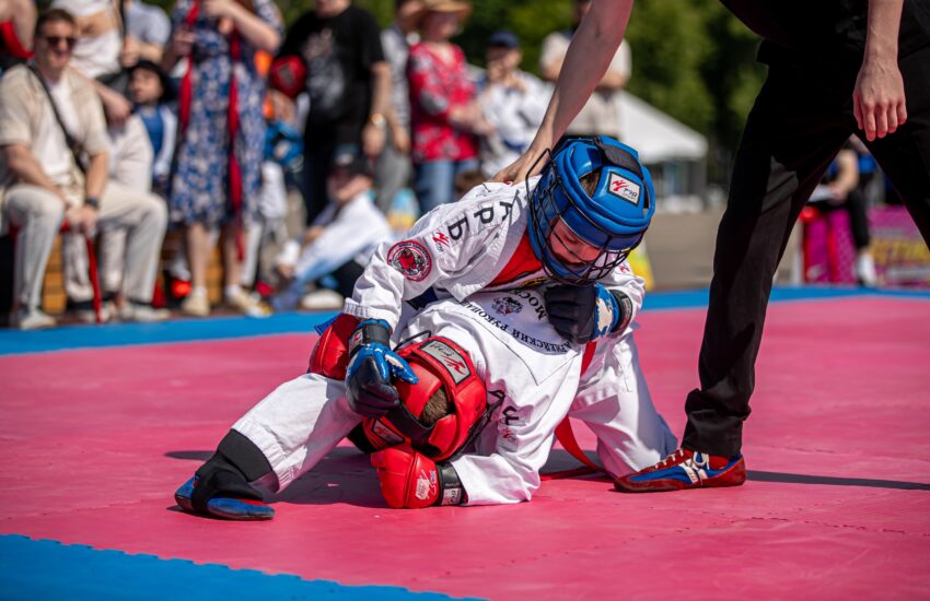 Карате, тхэквондо и самбо стали самыми популярными боевыми искусствами среди столичных школьников